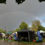 P1353354