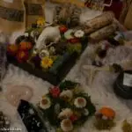 P8050211