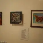 PB035671