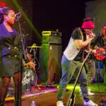 chestnut_grove-13