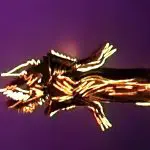 20240302_210624