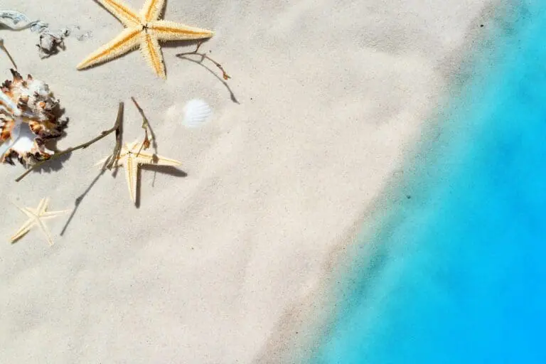 Summer Songs (And Then Some) – An Xperience Column