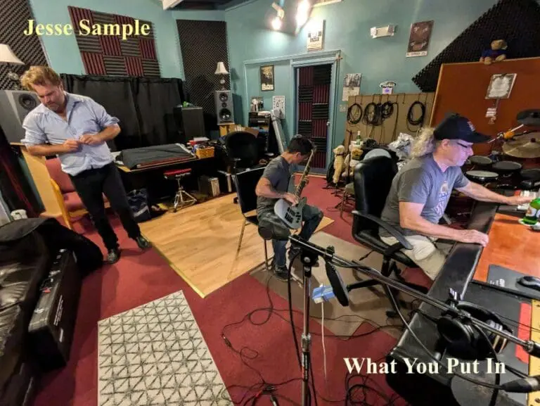 Week Thirty-Two: Jesse Sample’s Freak of the Week “What You Put In”