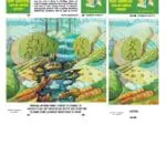 MAD Fold-In_with Solve (Low-Res)