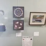 20241004_170555