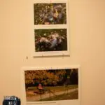 338A3071 copy 2