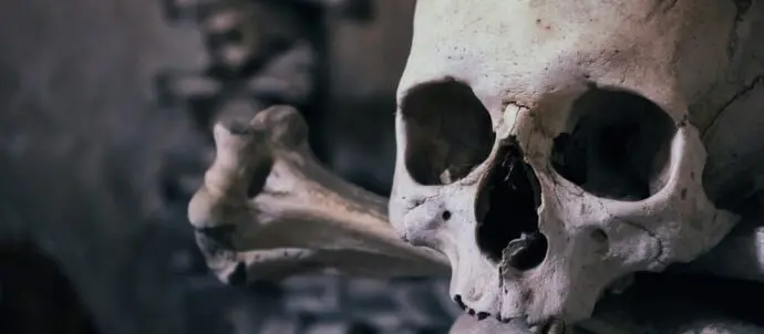 Bones in a Cameo