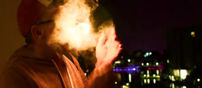 Dandelions and Dumpster Fires