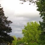 LLP_0148