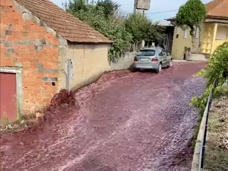 Portugal - Wine Running Down Street