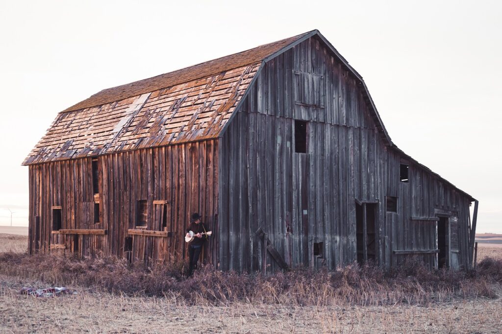 Observations and Ramblings - barn