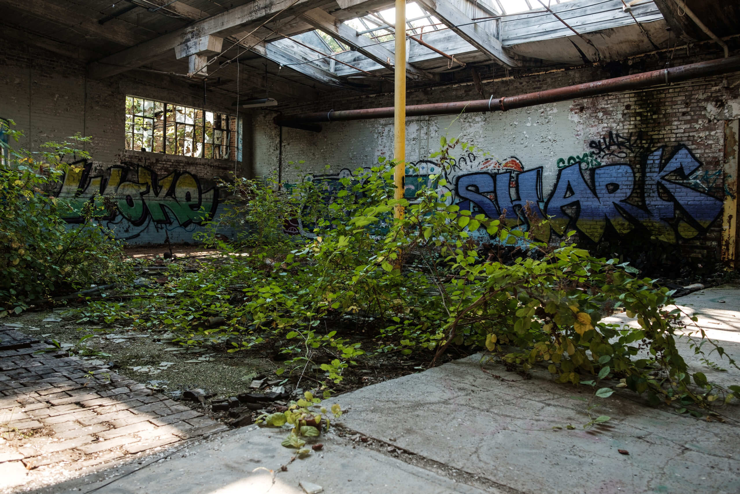 Abandoned Albany