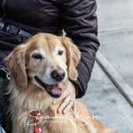 CAMA0088