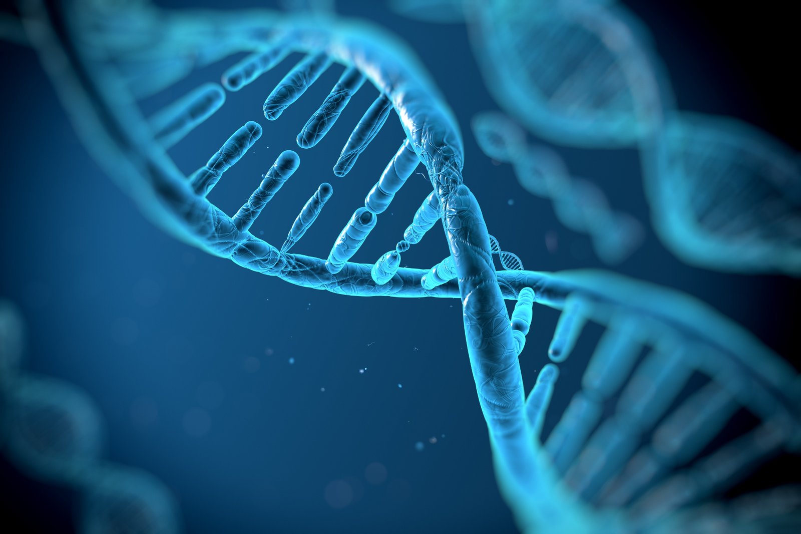 A Killer's DNA