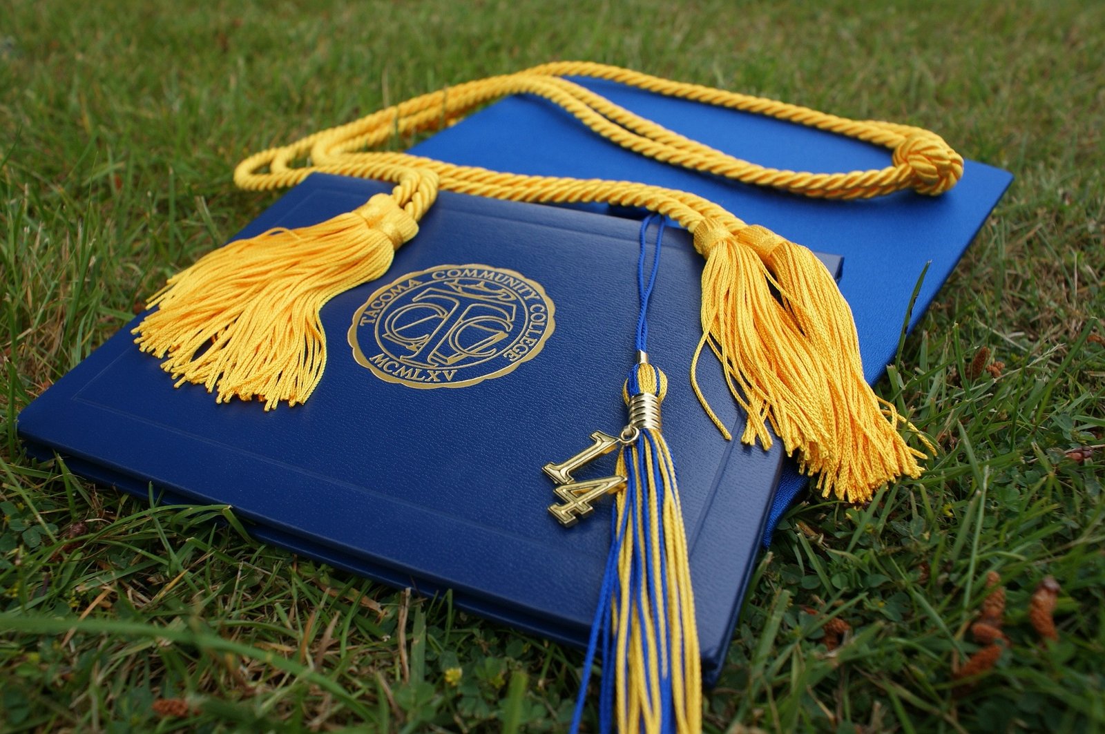 Anthony's Diploma