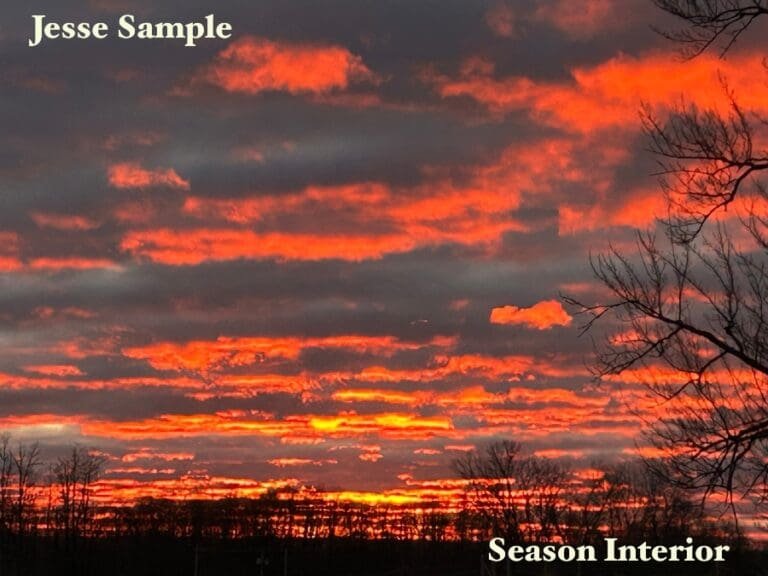 Week Forty-Seven: Jesse Sample’s Freak of the Week “Season interior”