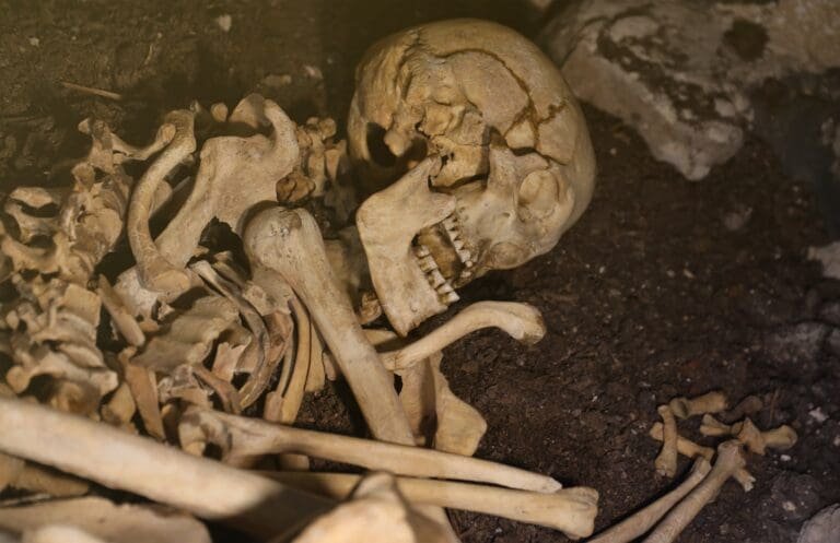 Three Hundred Piles of Remains – The Weird Side of the Internet