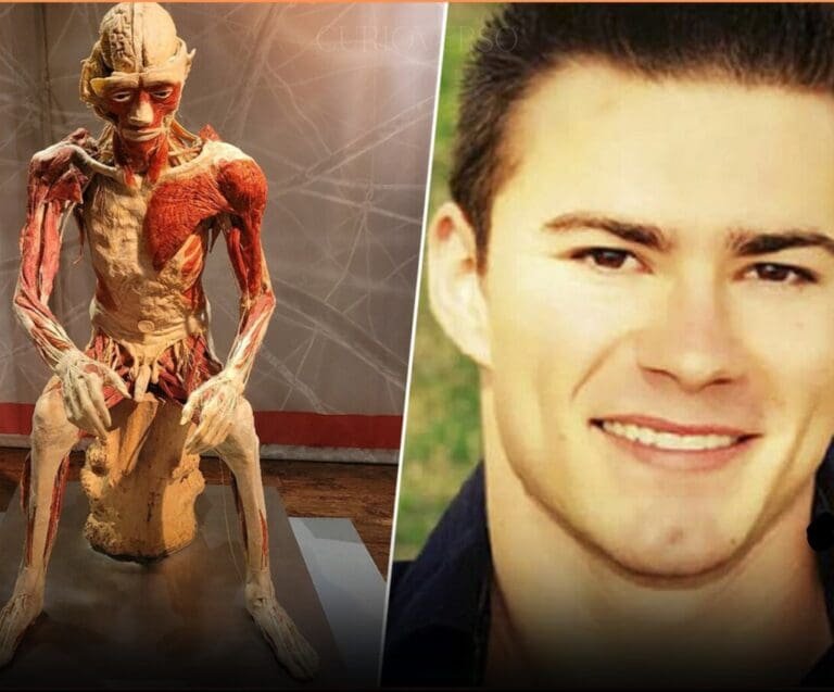 Plastic Man Horror – The Weird Side of the Internet