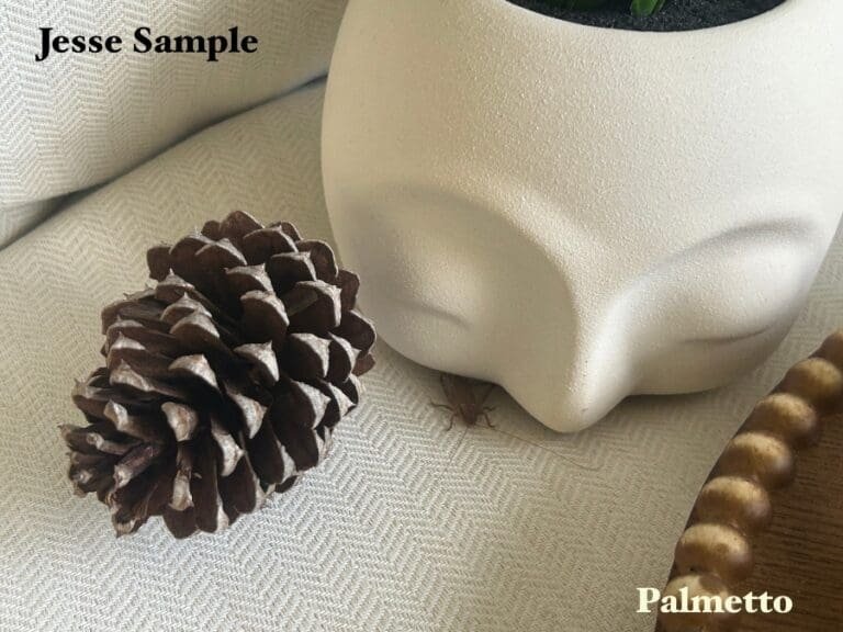 Week Fifty-One: Jesse Sample’s Freak of the Week “Palmetto”