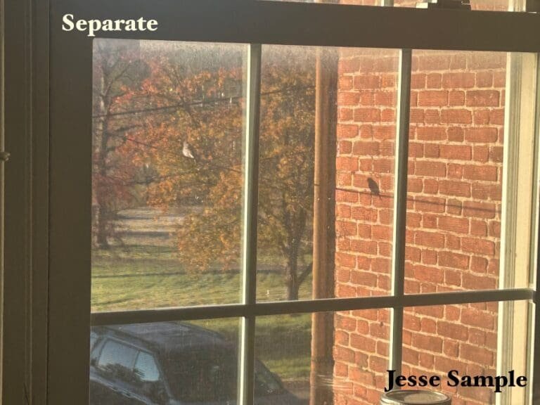 The Real Week Fifty: Jesse Sample’s Freak of the Week “Separate”