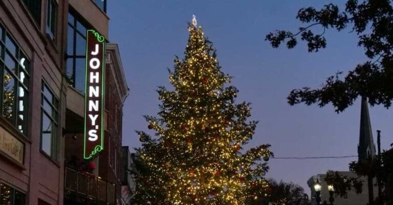 Schenectady County Holiday Parade