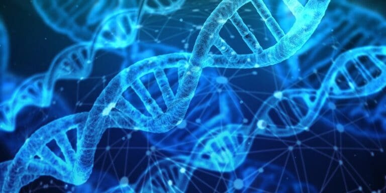 Life On the Cutting Edge – Discoveries and Advancements