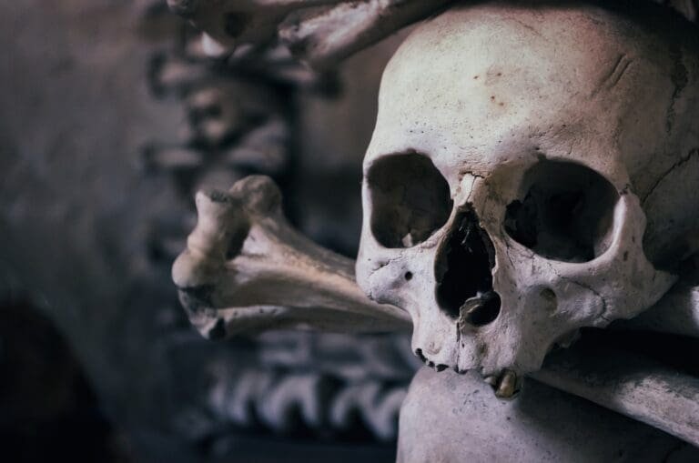 Bones in a Curio – The Weird Side of the Internet