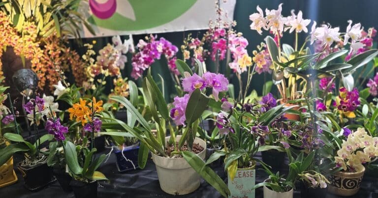 The Capital Region Flower and Garden Expo
